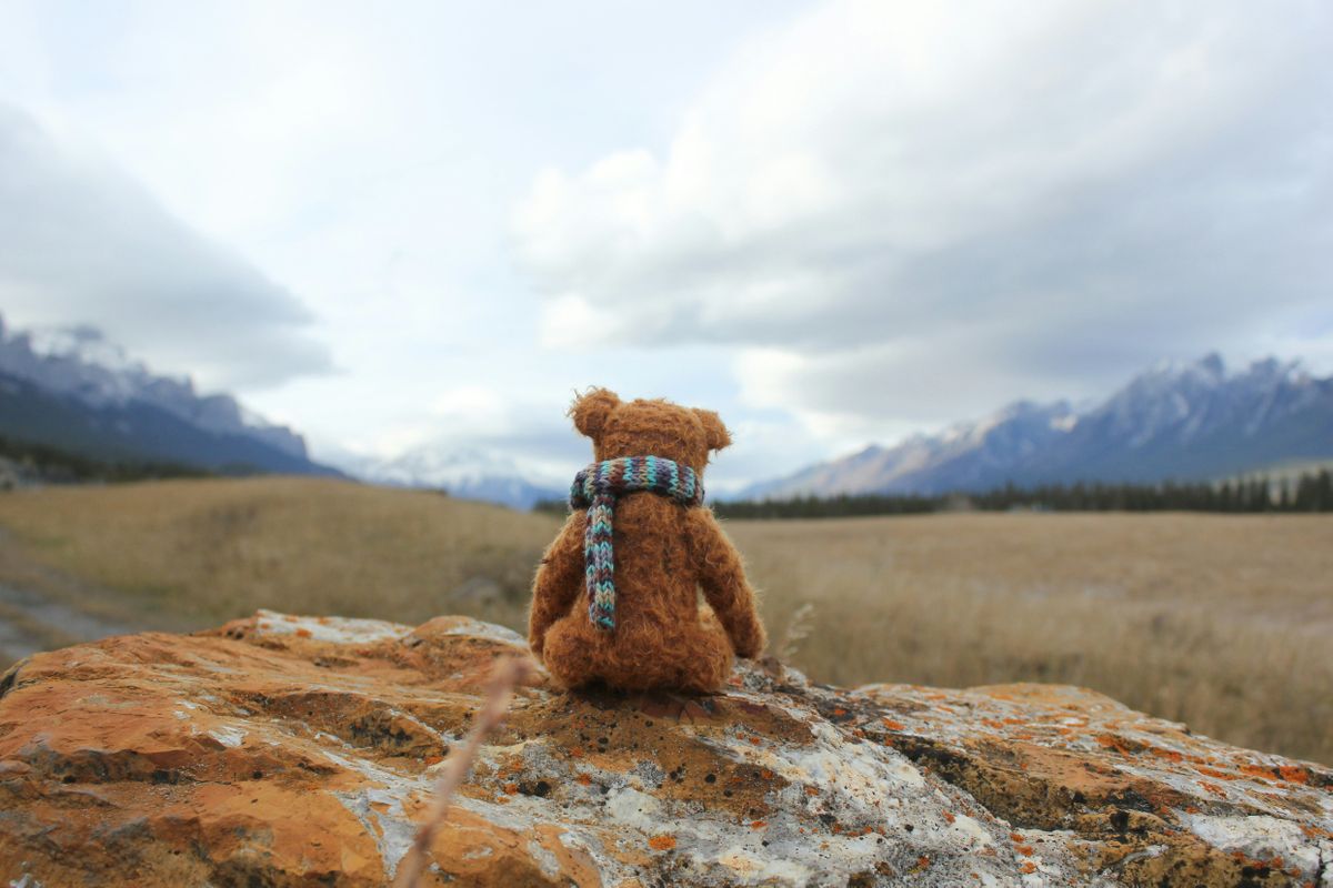 Sustainability in practice: How Loved Before is stopping soft toys going to landfill