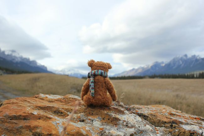 Sustainability in practice: How Loved Before is stopping soft toys going to landfill