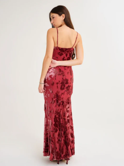 Silk Velvet burnout Dress