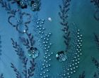 Embellished Sequins 3D Beads Dress