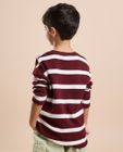 Kids Boy's Full Sleeve Stripes T-Shirt