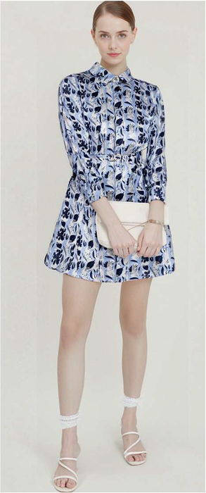 Print silk dress & skirt