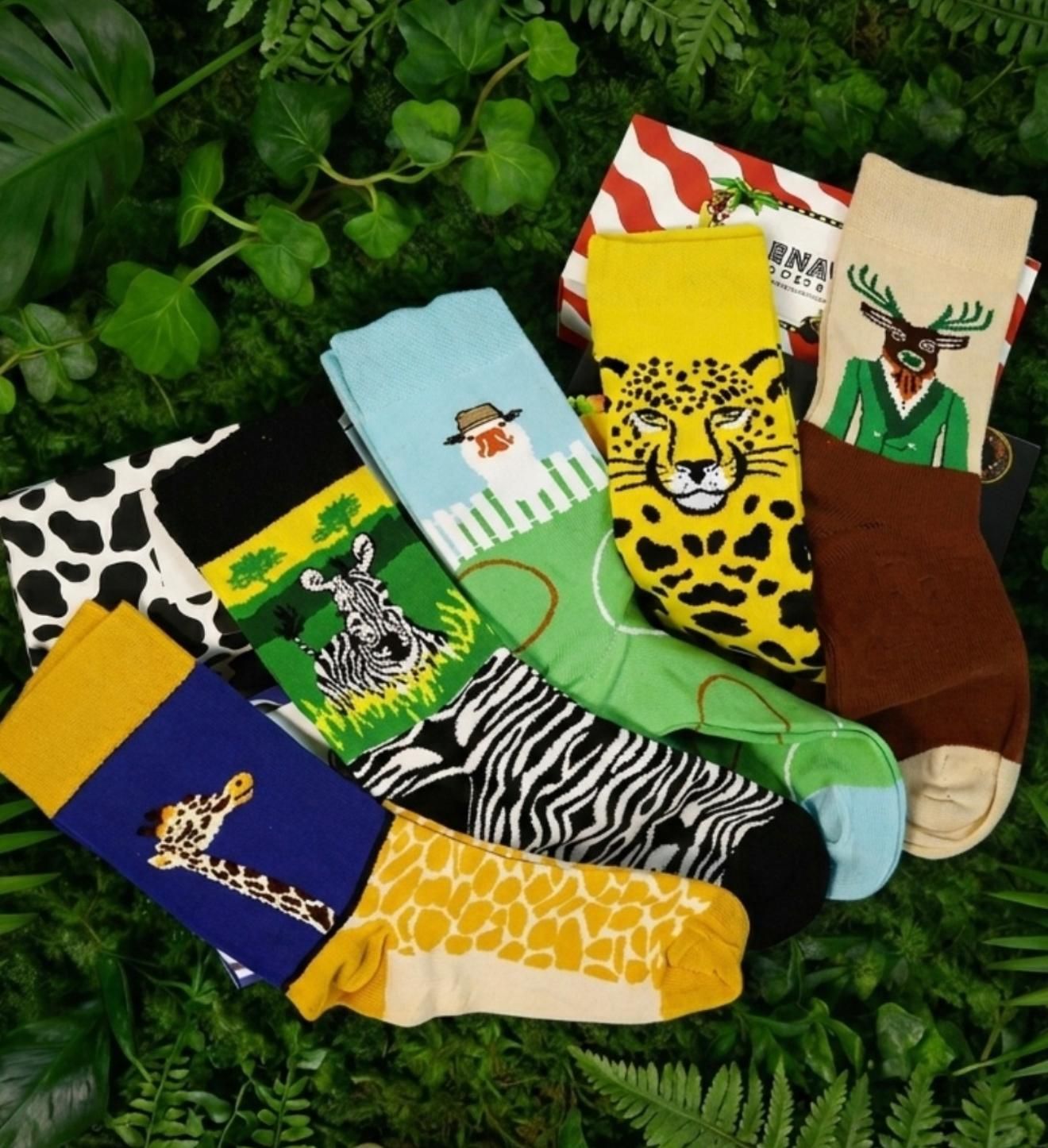 Design Socks