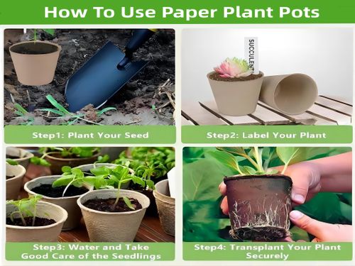 Paper Pulp Seeding Pots