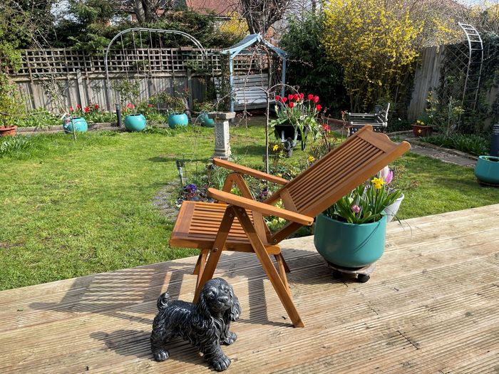 5 Positions Foldable Chairs