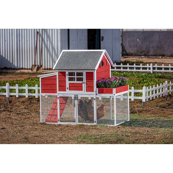 Win World International Trade LLC Introduces New Product: The Blooming Chicken Coop