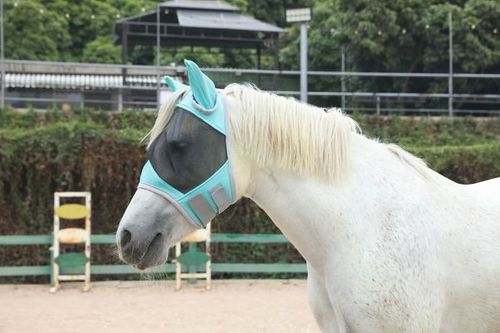 Horse Fly Mask with Ears, Fine Mesh UV-Proof Fly Mask for Horses