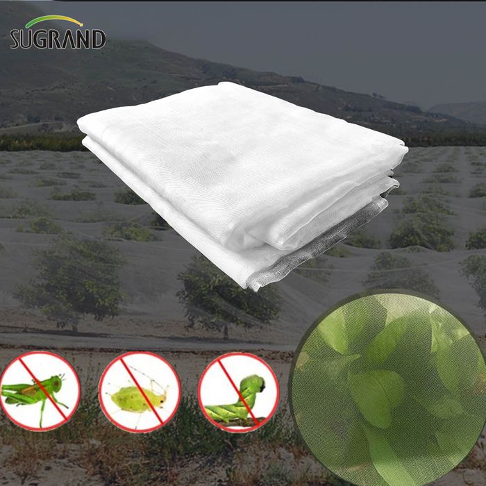 Anti Insect Net