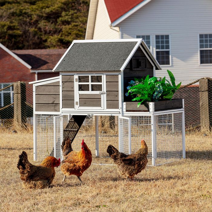 Blooming Chicken Coop