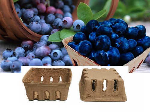 Paper Pulp Tray for Blue Berry