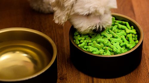 Pet Feeding / Storage Catalogue