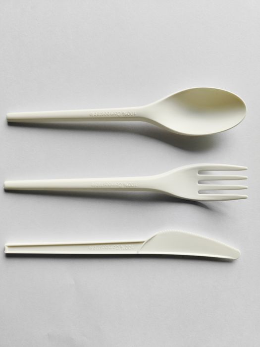 CPLA COMPOSTABLE DISPOSABLE CUTLERY SET
