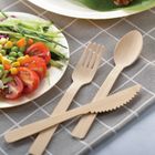 Disposable Cutlery