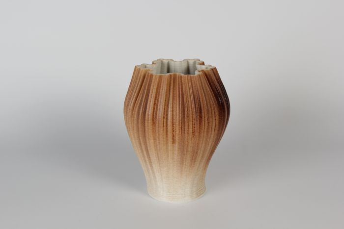 3D Printed Ceramic Vase