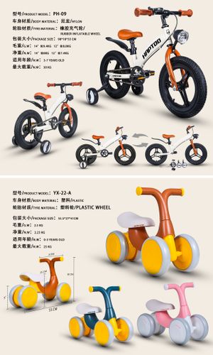 kids  2 in 1 bike