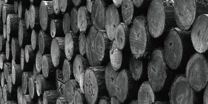 MOZZIN-ECO-friendly and Sustainable