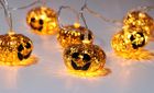 seasonal indoor/outdoor lights
