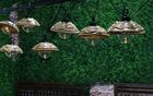 seasonal indoor/outdoor lights