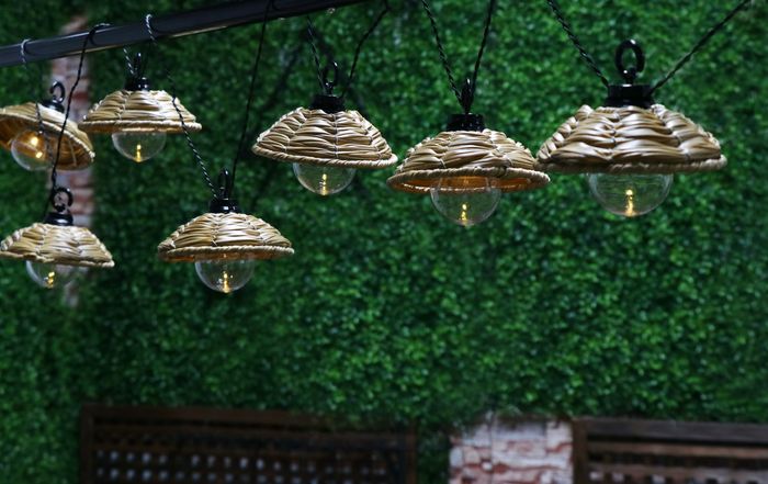 seasonal indoor/outdoor lights