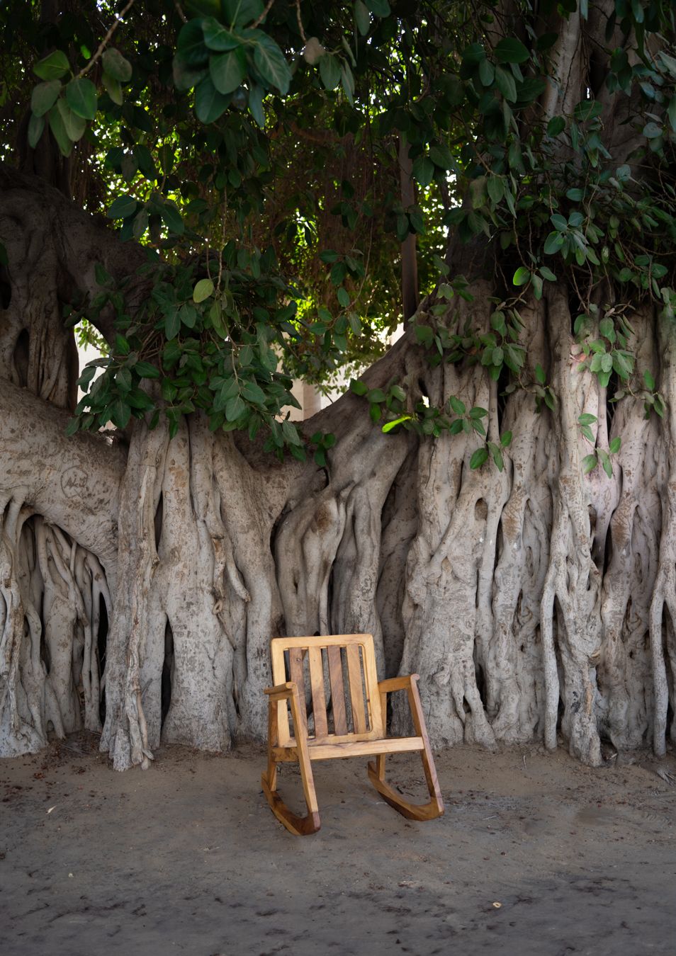 Rocking Chair