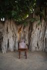 The Resting Chair
