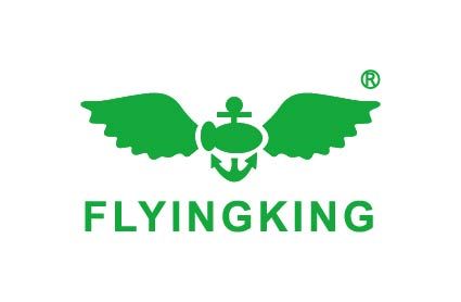 Ningbo Flyingking Import & Export Co.,Ltd