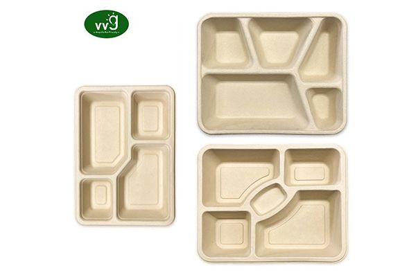 Sugarcane pulp lunch tray