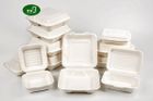 Sugarcane clamshell food container