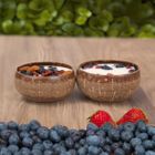 Coconut shell Bowls