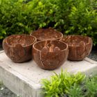 Coconut shell Bowls