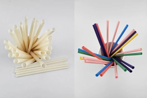 Biodegradable disposable sugarcane PLA/PHA Straw