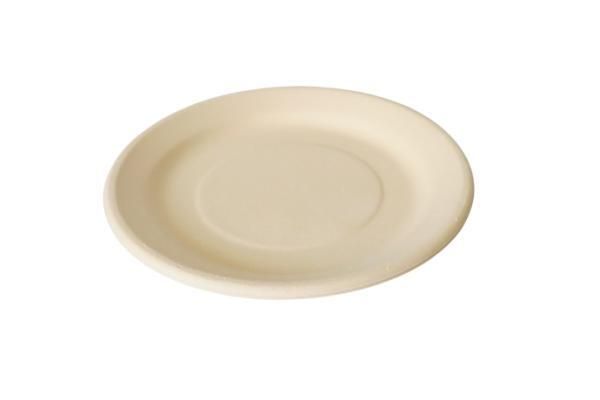 Biodegradable disposable paper plate