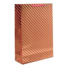 Luxurious Pastel & Gold Foil Paper Bags