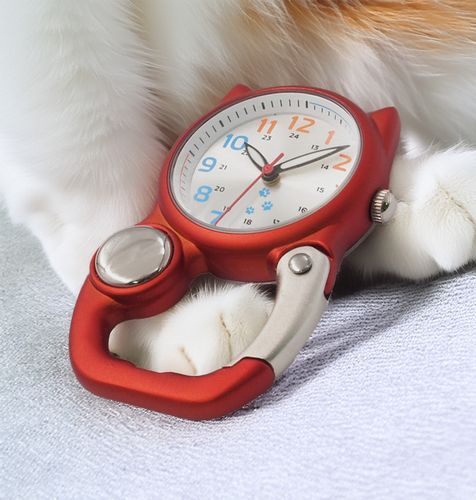 Analogue Nurse Watch (7419)