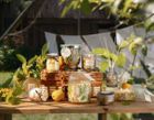 Botanical Light Collection