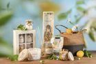 Botanical Light Collection