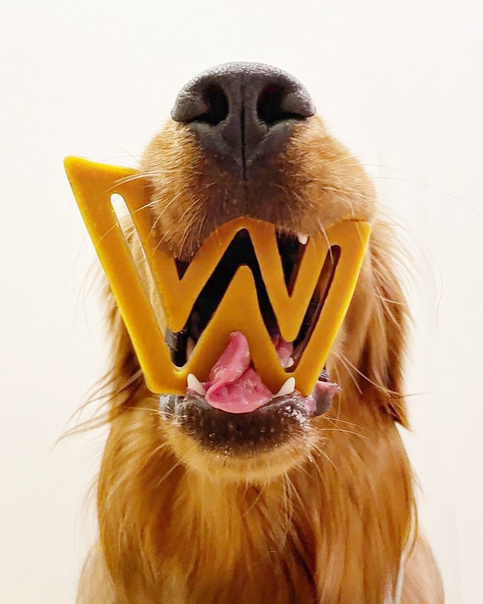 W'ZIS Products and Pricing