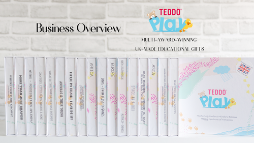 Teddo Play Business Overview and Product Catalogue