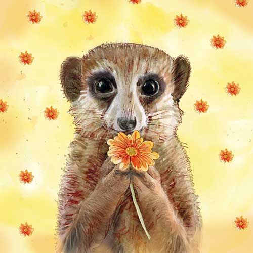 Animal Friends Greeting Cards