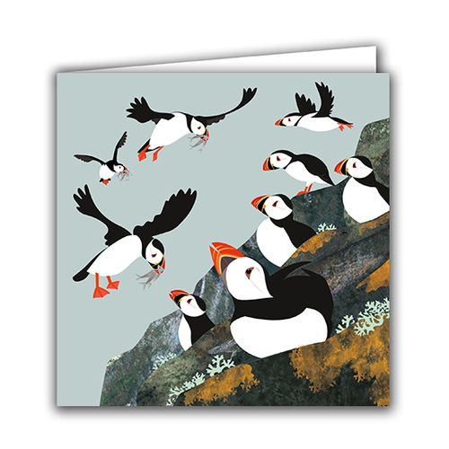 Silver Birch Cards 2025 Brochure