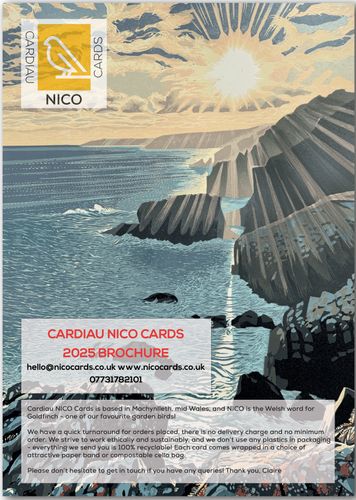 Nico Catalogue 2025