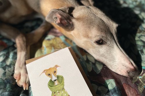 Whippet/ Sighthound Greeting Cards