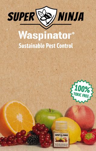 Super Ninja Waspinator 2025 Catalogue