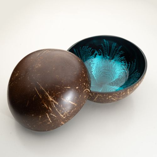 Coconut Bowls