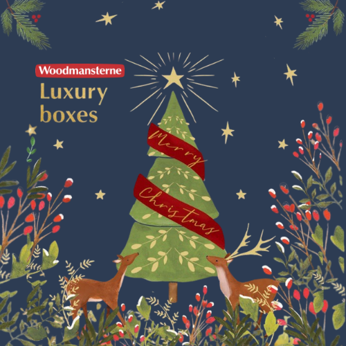 2026 Christmas card boxes and wallets