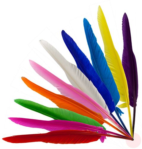 FREE 50 GENUINE FEATHER PENS