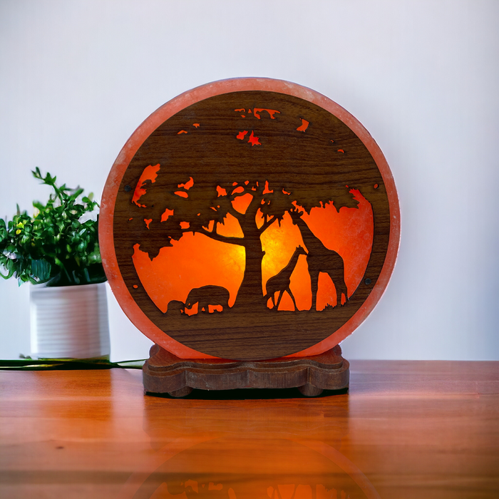 Himalayan Salt Spring Fair 2025