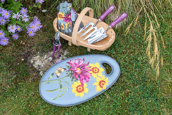 Asteraceae: a new 'RHS Gifts for Gardeners' collection