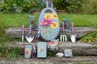 Asteraceae: a new 'RHS Gifts for Gardeners' collection