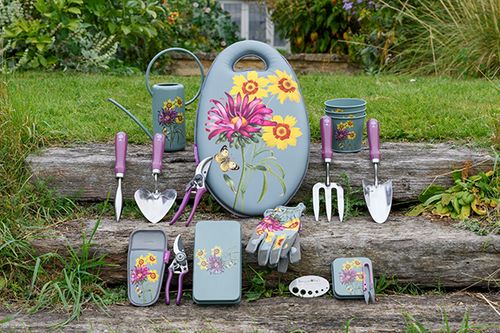 Asteraceae: a new 'RHS Gifts for Gardeners' collection